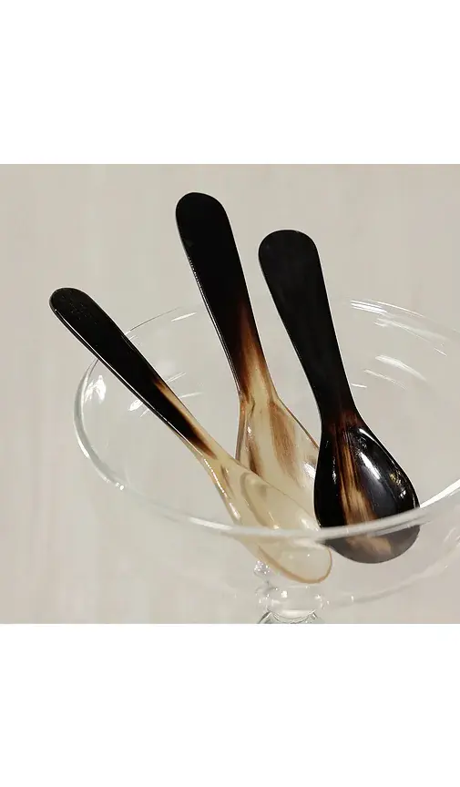 The Favorites Set of 4 Horn Condiment & Caviar Spoon | Thumbnail 2