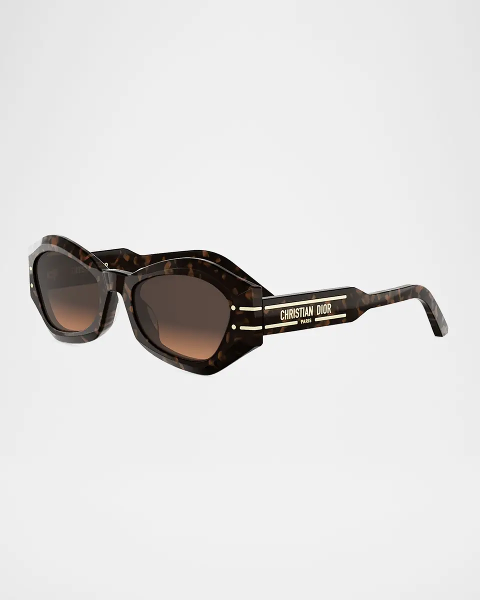 Dior DiorSignature B1U Acetate Butterfly Sunglasses | Thumbnail 3