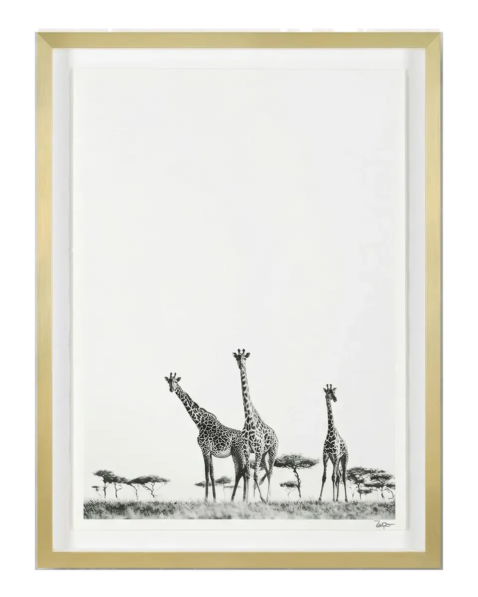John-Richard Collection "Kaleidoscope" Framed Photo Print by Rodney Bursiel | Thumbnail 2