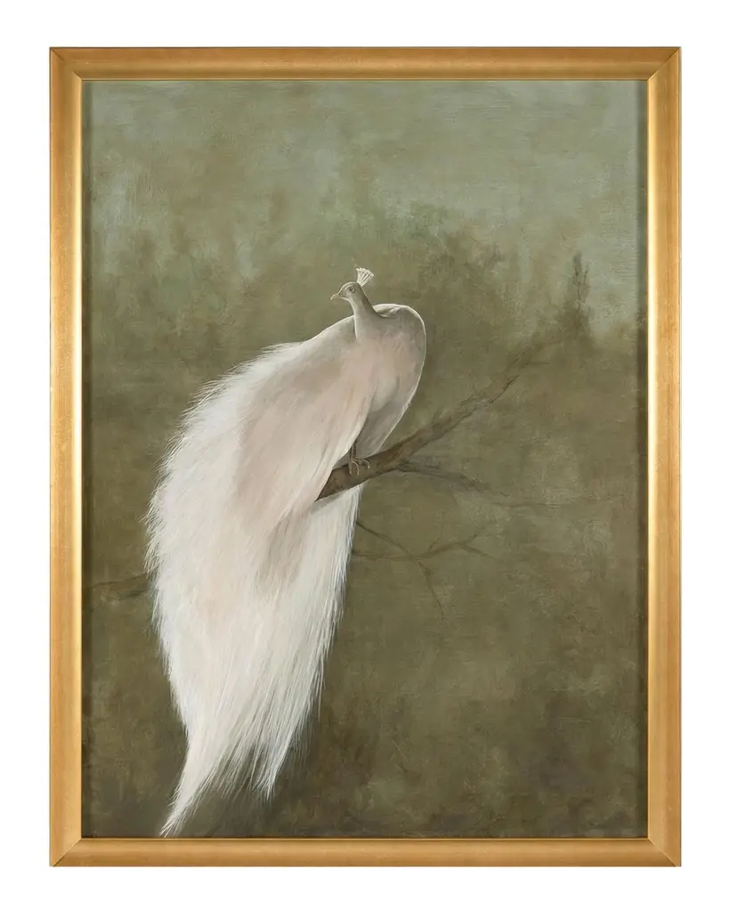 John-Richard Collection "The White Peacock" Framed Giclee by Debra Ferrari