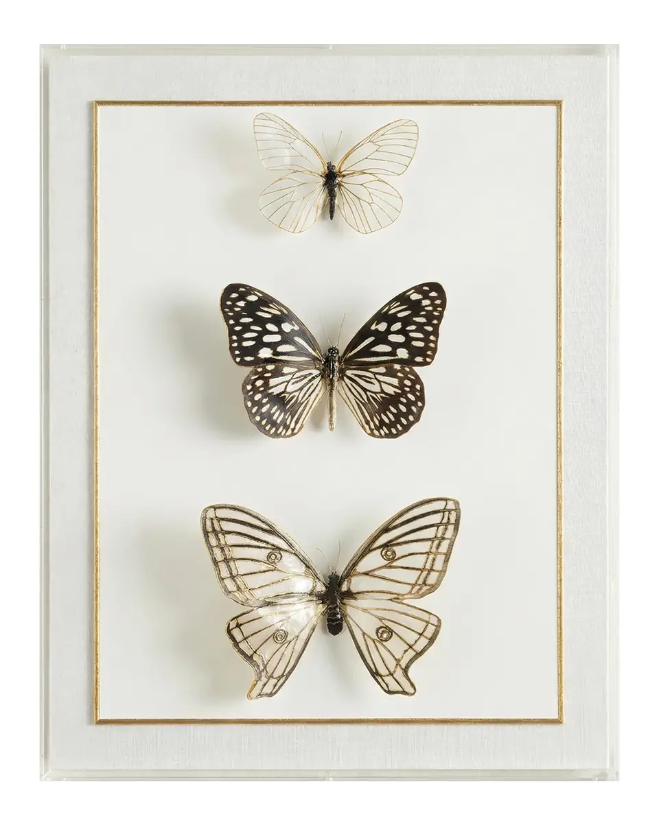 John-Richard Collection "Echoes of Change" Framed Print | Thumbnail 2