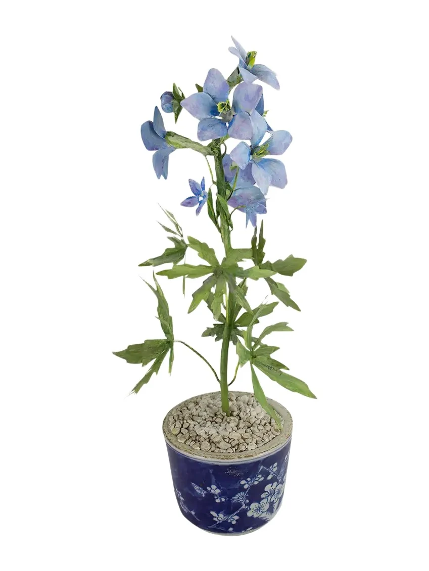 Tommy Mitchell Delphinium July Birth Flower in Ceramic Pot