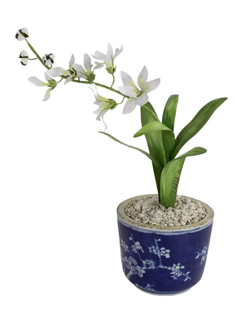 Tommy Mitchell Freesia March Birth Flower in Ceramic Pot