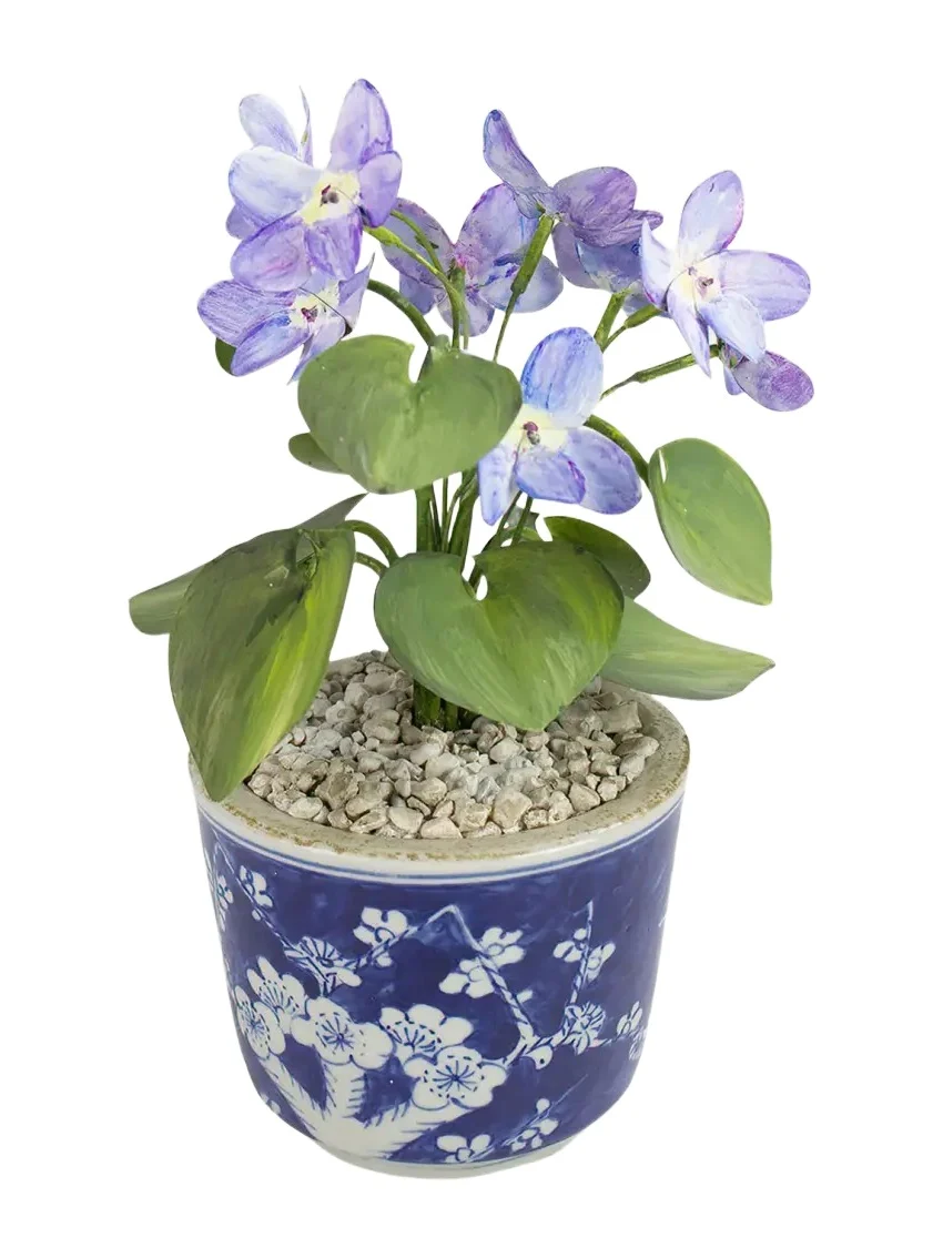 Tommy Mitchell Violet February Birth Flower in Ceramic Pot