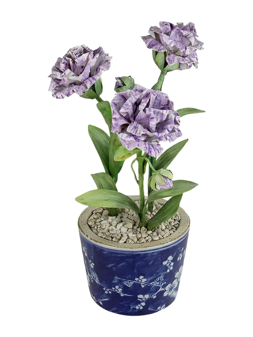 Tommy Mitchell Carnation January Birth Flower in Ceramic Pot