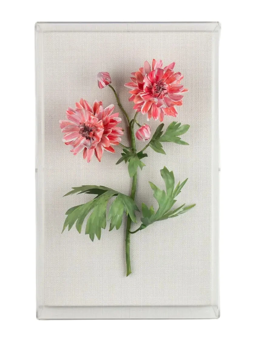 Tommy Mitchell Crysanthemum November Birth Flower Wall Art