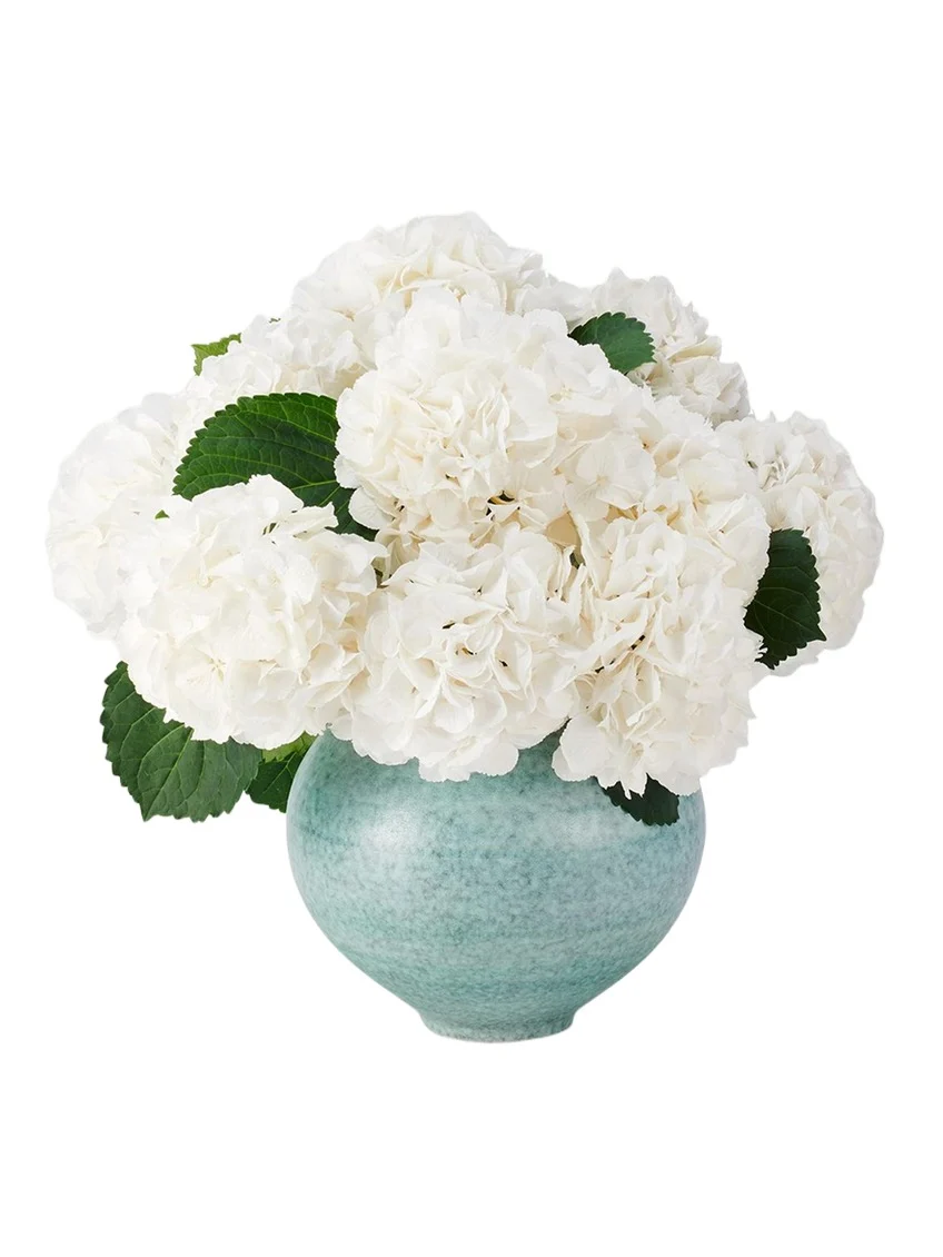 AERIN Calinda Moon Vase