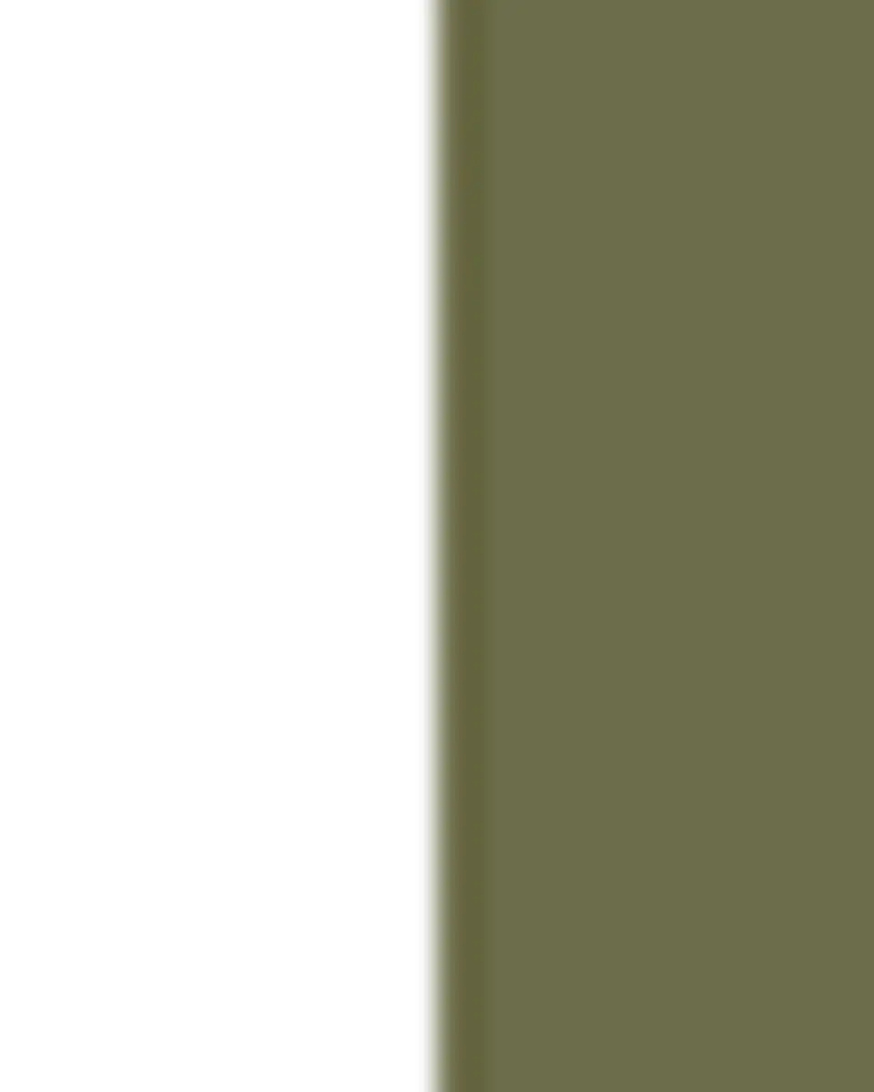 D.V. KAP Home Labelle Decorative Pillow | Thumbnail 3