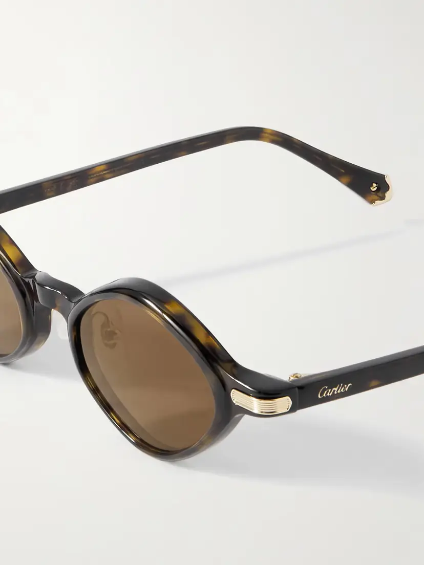 Cartier Eyewear Oval-frame Tortoiseshell Acetate Sunglasses | Thumbnail 4