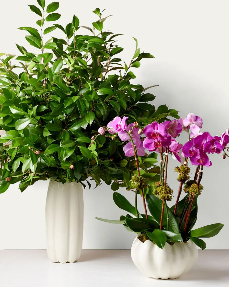 AERIN Mirabelle Cachepot | Thumbnail 4 AERIN Mirabelle Cachepot | Thumbnail 4