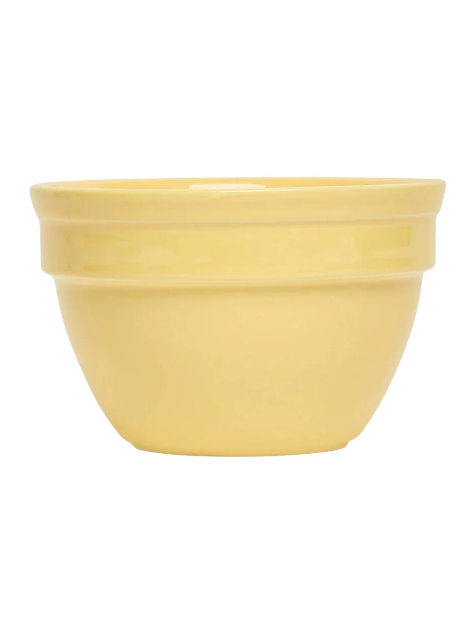 Fish's Eddy Colorware Bowl