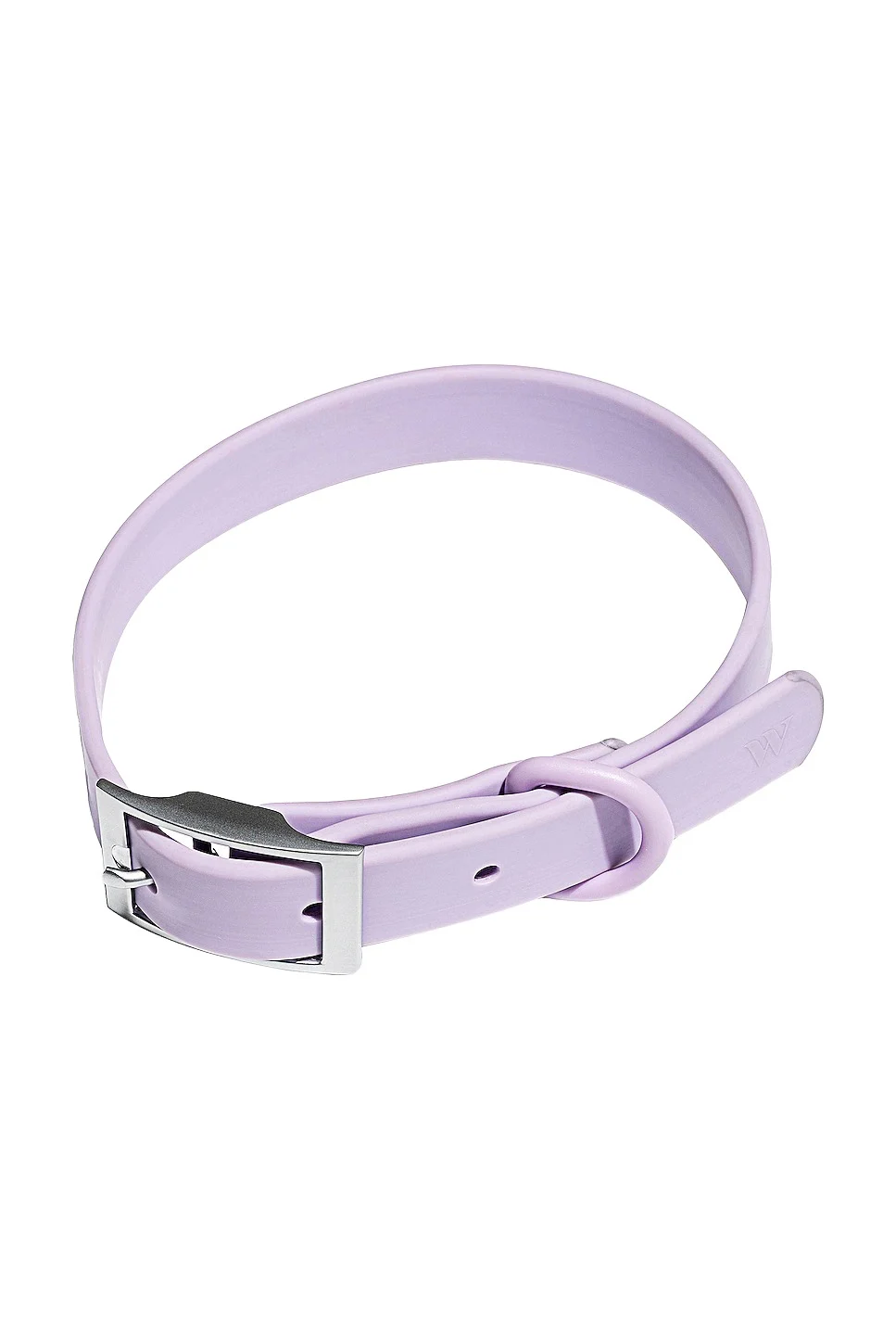 Wild One Large Collar