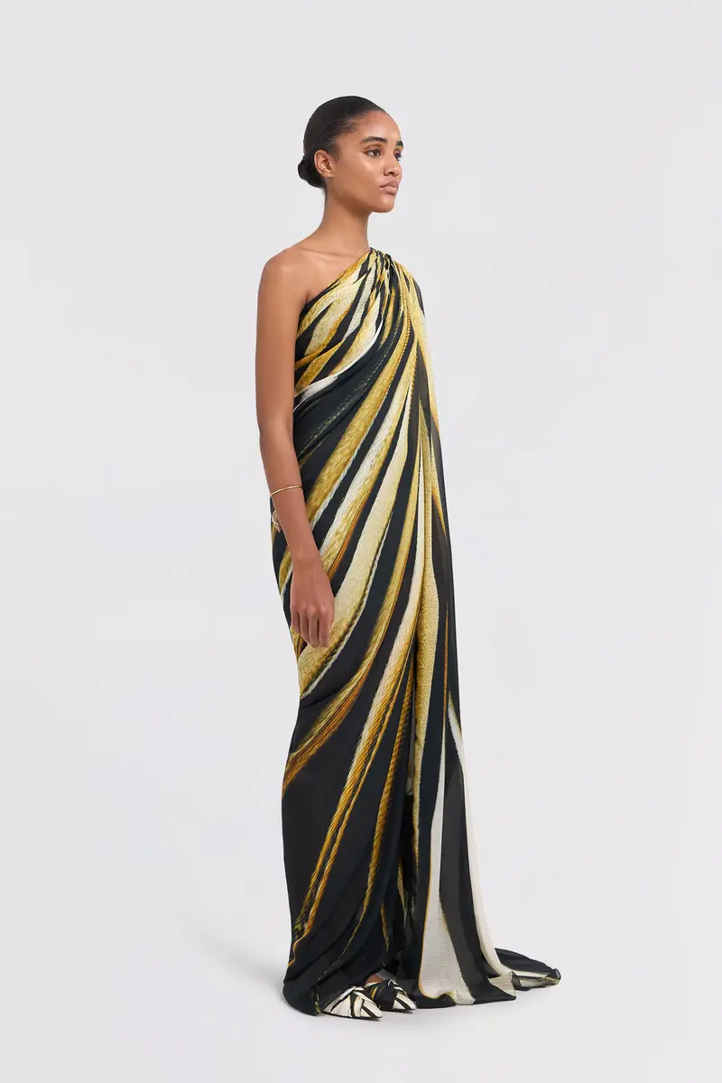 Roberto Cavalli Ray Of Gold Print Silk Maxi Dress | Thumbnail 2 Roberto Cavalli Ray Of Gold Print Silk Maxi Dress | Thumbnail 2