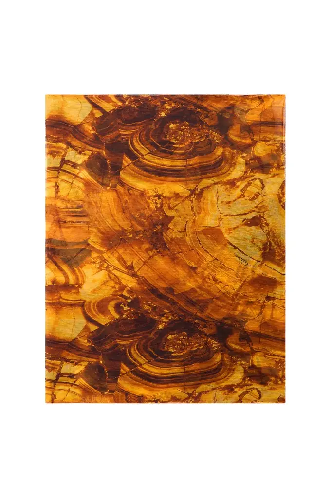 Roberto Cavalli Stole with Amber Print