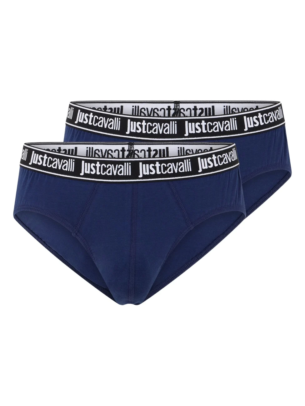 Roberto Cavalli Two-Pack Blue Briefs With Logo Waistband