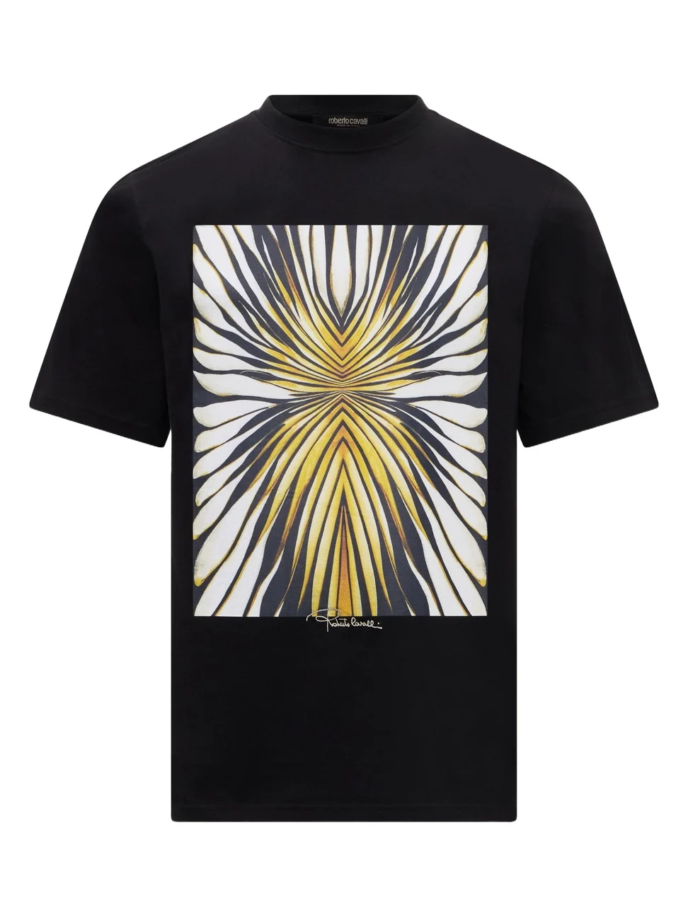 Ray Of Gold Print Pure Cotton T-shirt Ray Of Gold Print Pure Cotton T-shirt