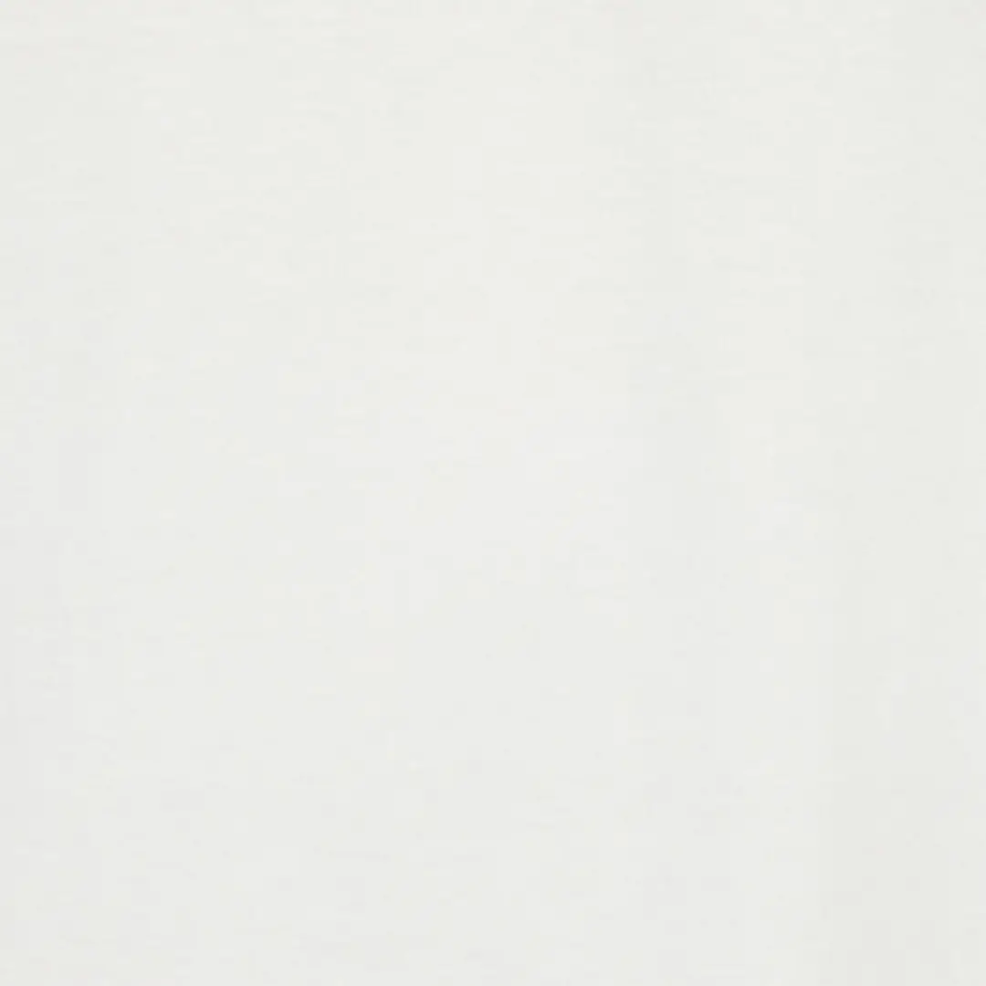 Roberto Cavalli T-Shirt With Flocked Logo | Thumbnail 4