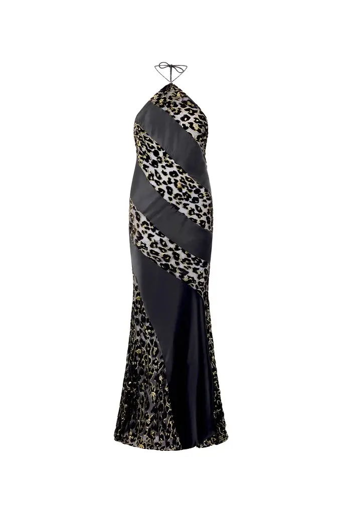 Roberto Cavalli Long See-Through Dress With Leopard Print Pattern