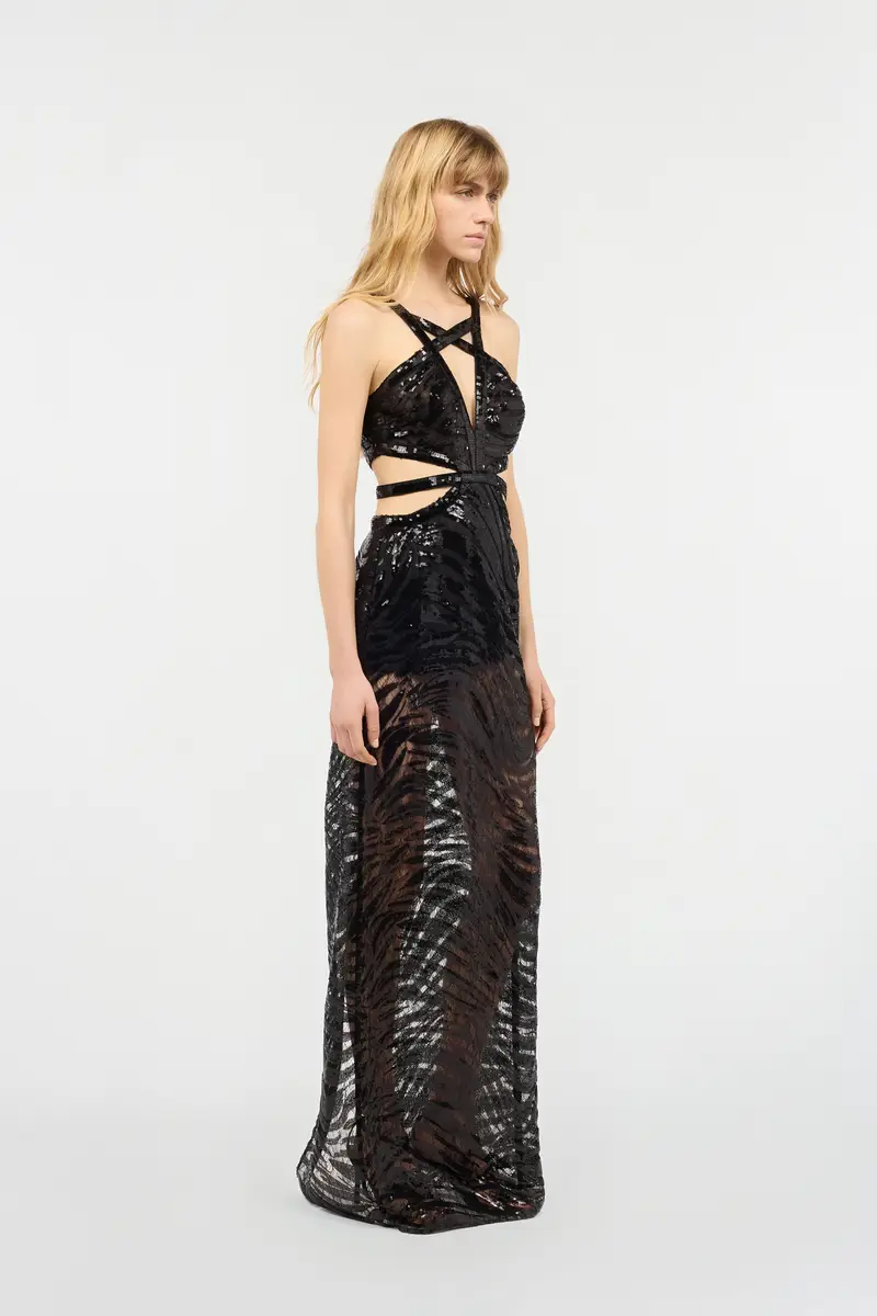 Roberto Cavalli See-Through Dress With Sequined Zebra Pattern | Thumbnail 2