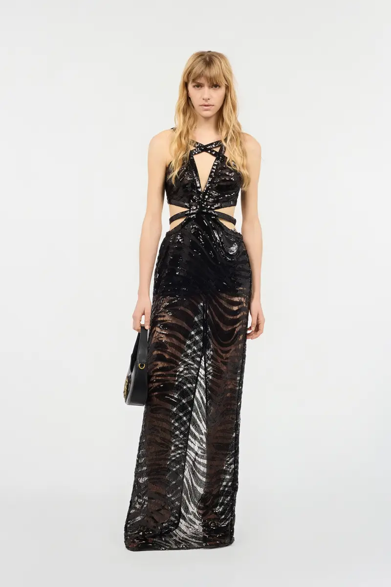 Roberto Cavalli See-Through Dress With Sequined Zebra Pattern | Thumbnail 7