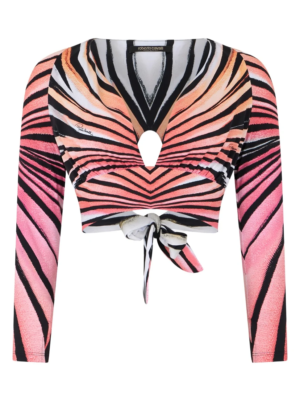 Ray Of Paradise Print Crop Top Ray Of Paradise Print Crop Top