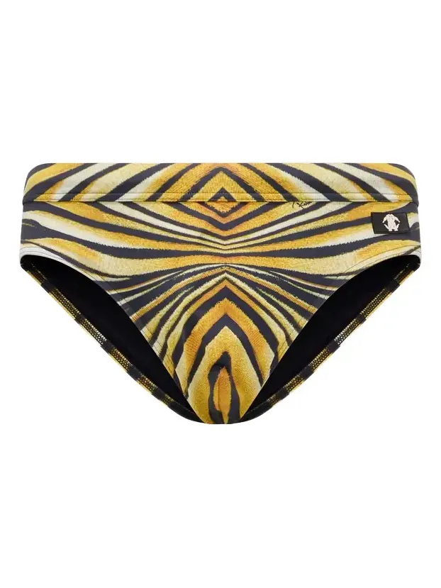 Ray Of Gold Print Sea Brief