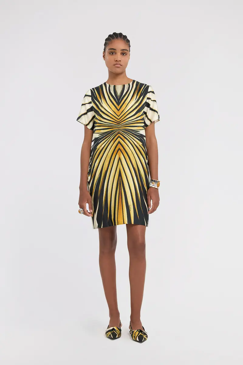 Roberto Cavalli Ray Of Gold Print Silk Mini Dress | Thumbnail 5 Roberto Cavalli Ray Of Gold Print Silk Mini Dress | Thumbnail 5