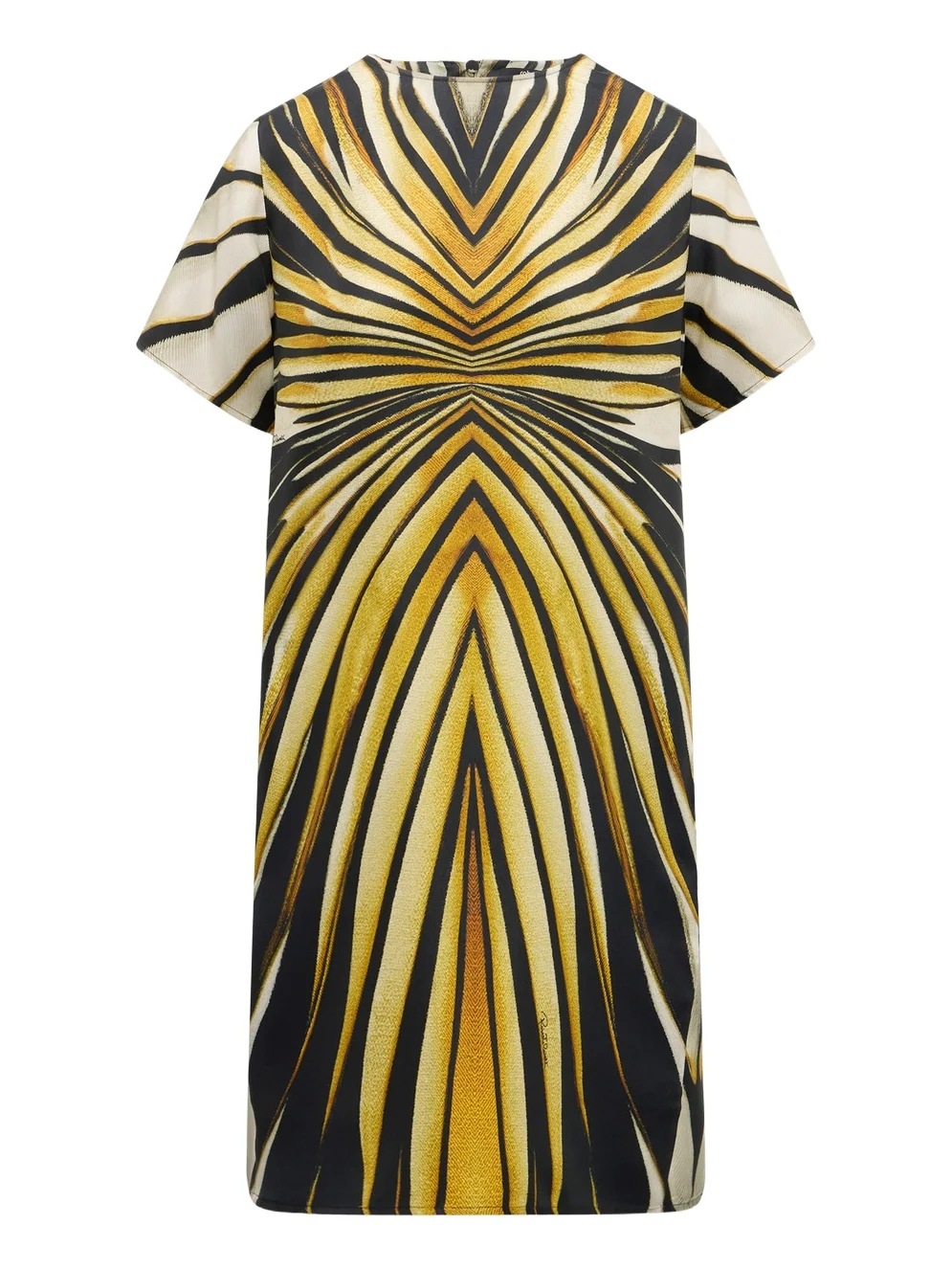 Roberto Cavalli Ray Of Gold Print Silk Mini Dress