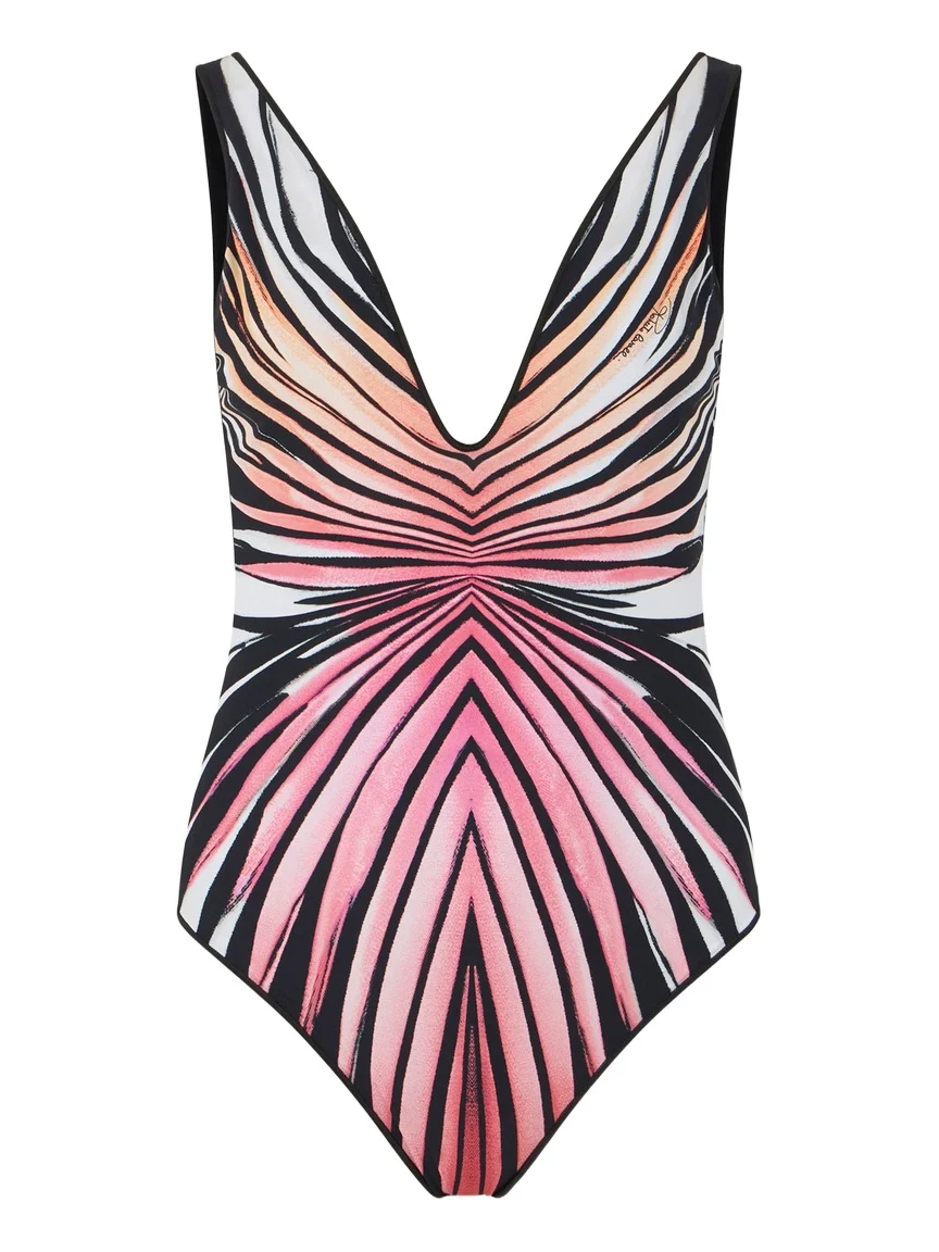Ray Of Paradise Print Swimsuit