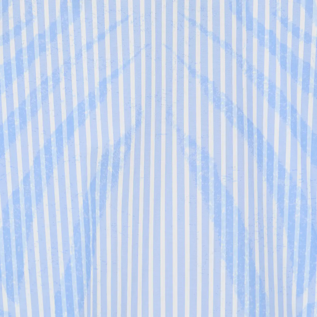 Roberto Cavalli Striped Shirt With Zebra Pattern | Thumbnail 4 Roberto Cavalli Striped Shirt With Zebra Pattern | Thumbnail 4