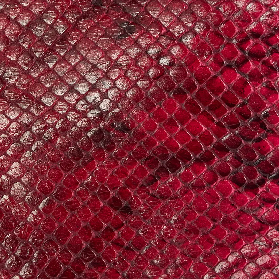 Roberto Cavalli Shiny Python-Print Jacket | Thumbnail 4 Roberto Cavalli Shiny Python-Print Jacket | Thumbnail 4