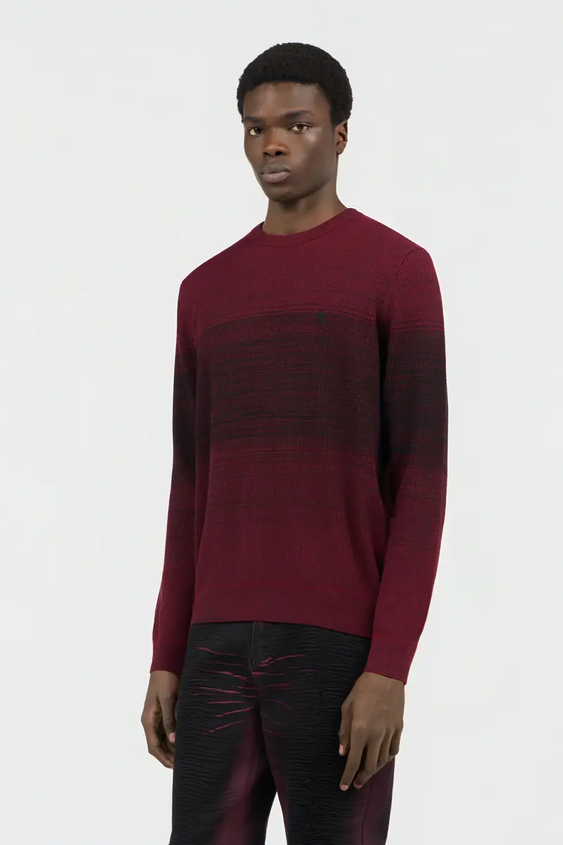 Roberto Cavalli Burgundy Dégradé Cotton Sweater | Thumbnail 2