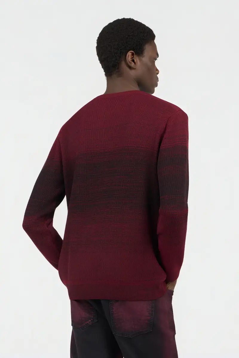 Roberto Cavalli Burgundy Dégradé Cotton Sweater | Thumbnail 3