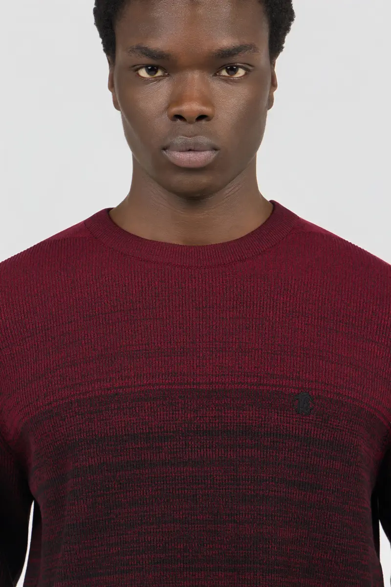 Roberto Cavalli Burgundy Dégradé Cotton Sweater | Thumbnail 4