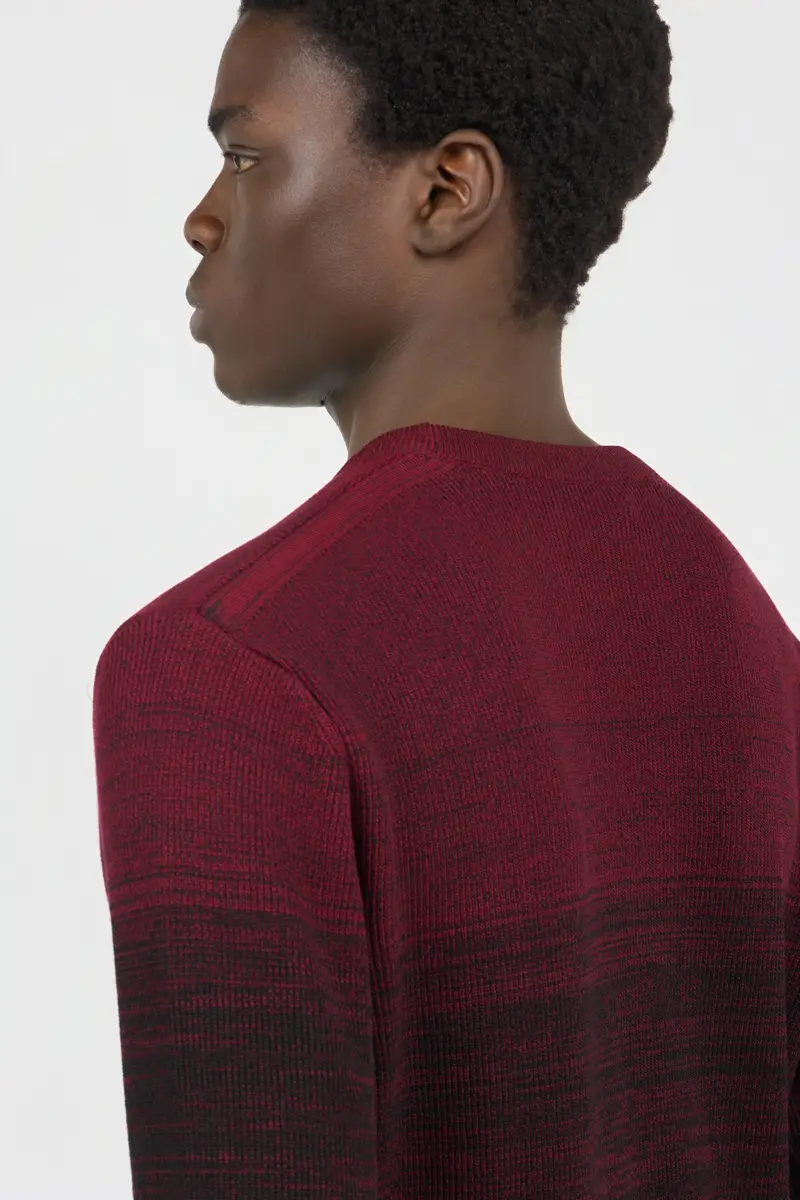 Roberto Cavalli Burgundy Dégradé Cotton Sweater | Thumbnail 5