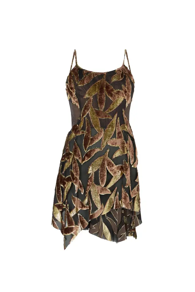 Roberto Cavalli Chocolate Sheer Mini Dress with Foliage Motif | Image 1 Roberto Cavalli Chocolate Sheer Mini Dress with Foliage Motif | Image 1