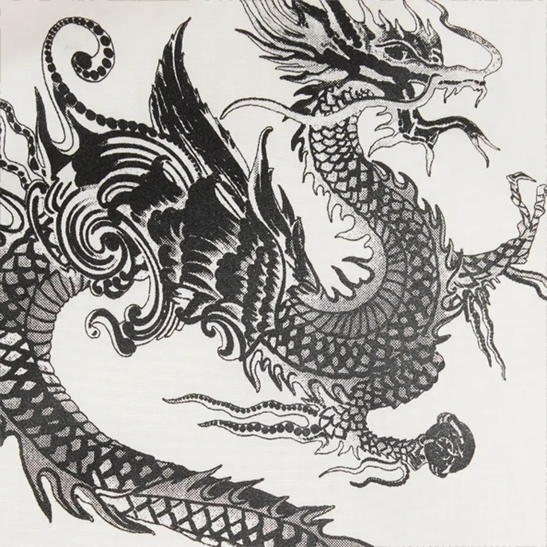 Roberto Cavalli Cotton Shirt With Dragons | Thumbnail 4 Roberto Cavalli Cotton Shirt With Dragons | Thumbnail 4