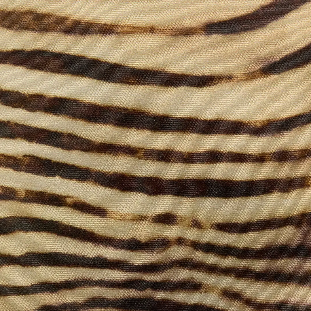 Roberto Cavalli Mini Dress With Tiger Skin Print | Thumbnail 4