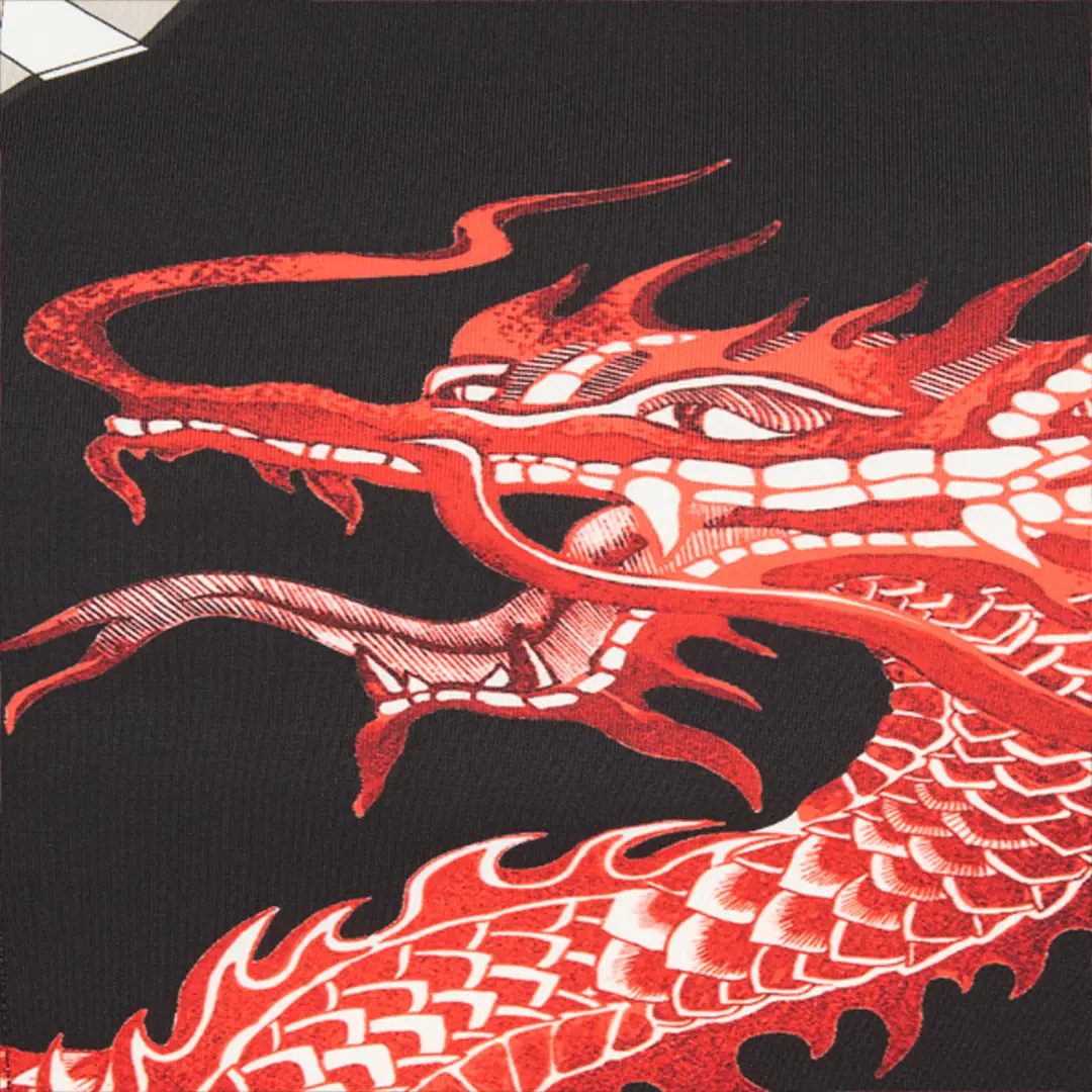 Roberto Cavalli Midi Dress With Dragon | Thumbnail 4