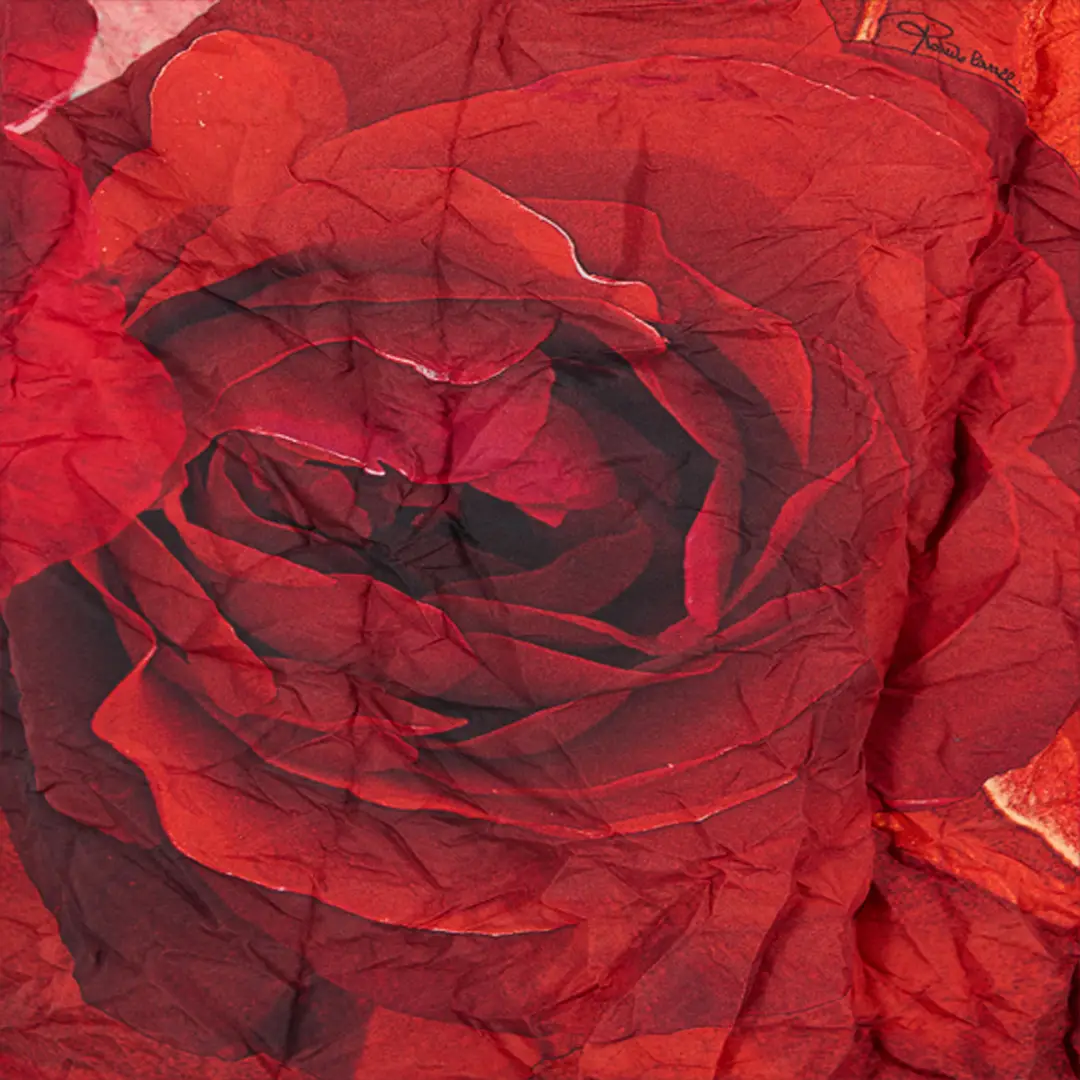 Roberto Cavalli Long Crinkle-Effect Trench Coat With Rose Print | Thumbnail 4
