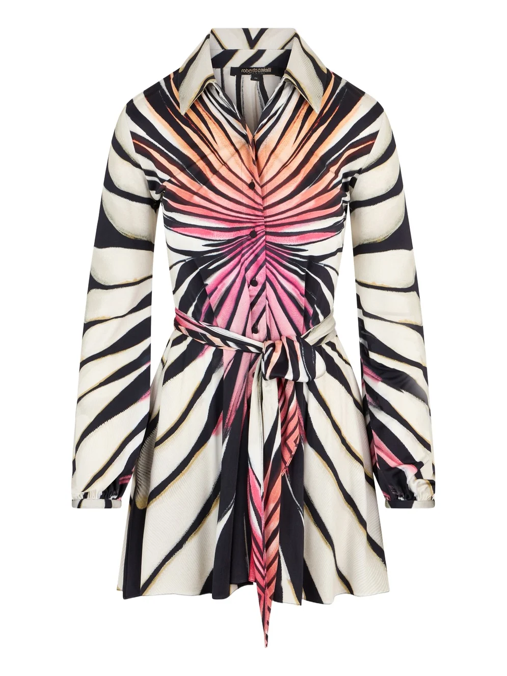 Ray Of Paradise Print Mini Dress Ray Of Paradise Print Mini Dress