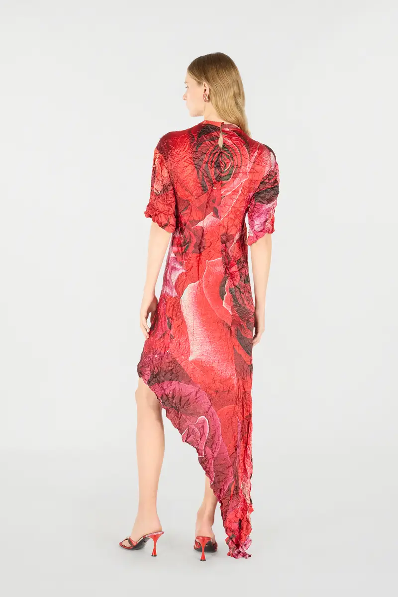 Roberto Cavalli Crinkled Asymmetric Dress With Rose Print | Thumbnail 3