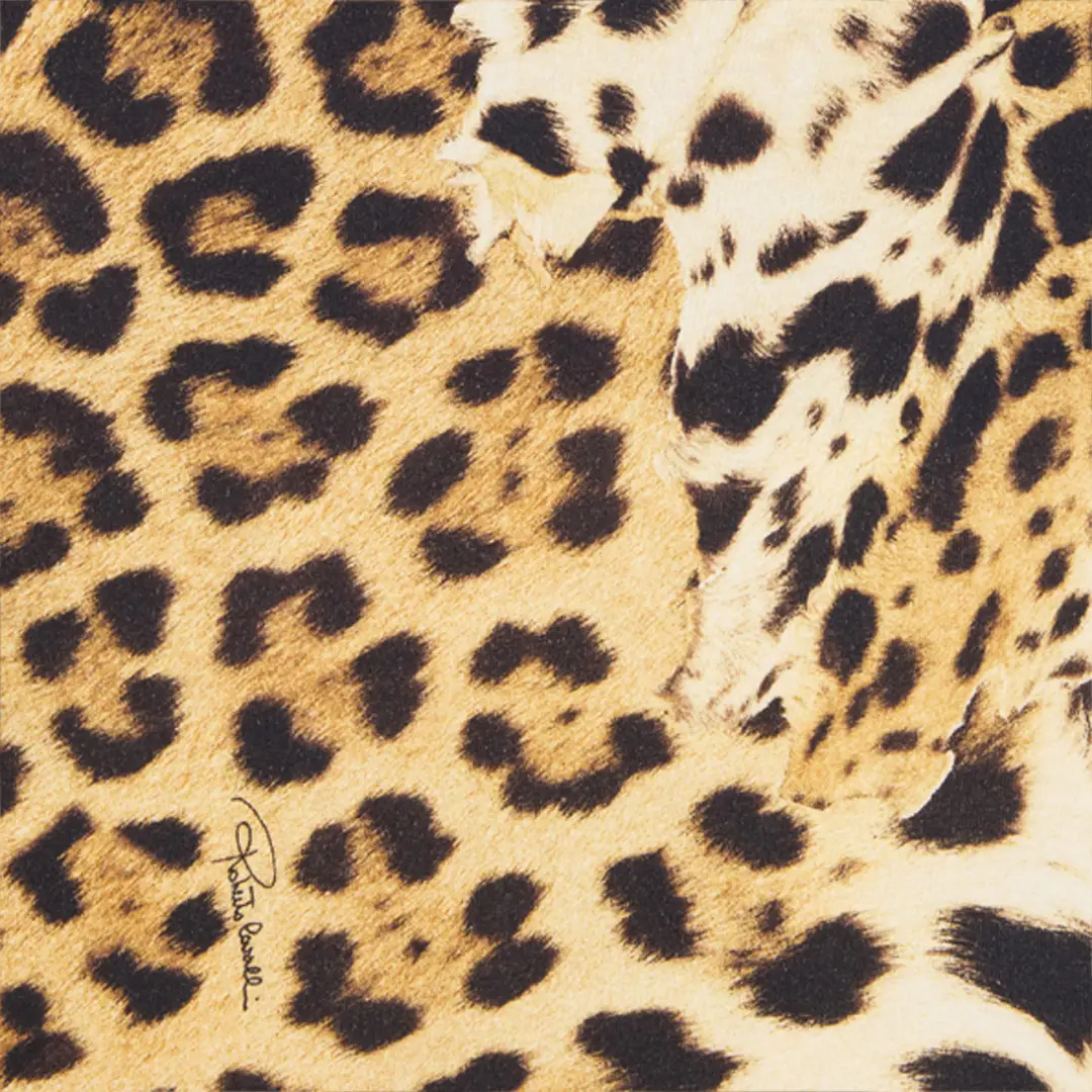 Roberto Cavalli Cotton T-Shirt With Leopard Print | Thumbnail 4