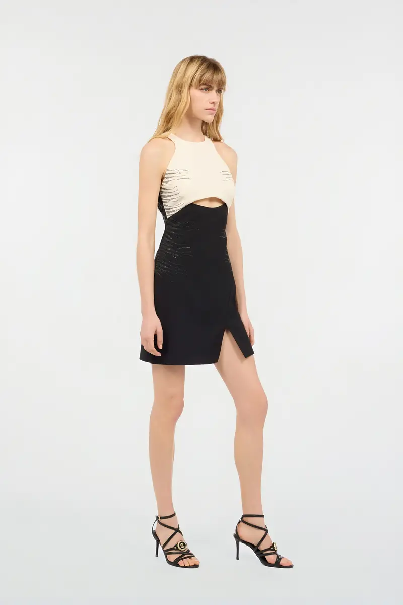 Roberto Cavalli Two-Tone Mini Dress With Cut-Out | Thumbnail 2