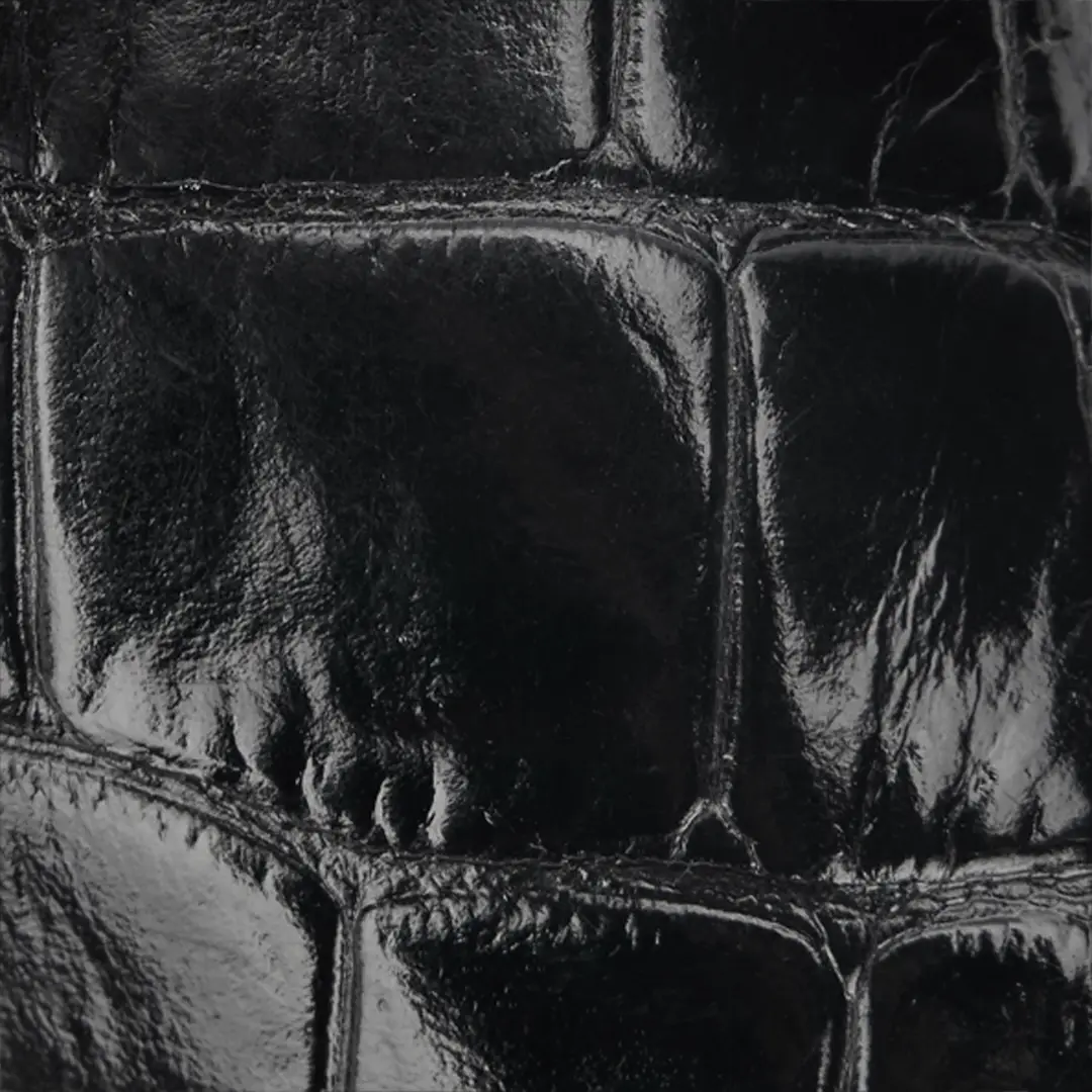 Roberto Cavalli Crocodile Scale-Effect Pumps | Thumbnail 4 Roberto Cavalli Crocodile Scale-Effect Pumps | Thumbnail 4