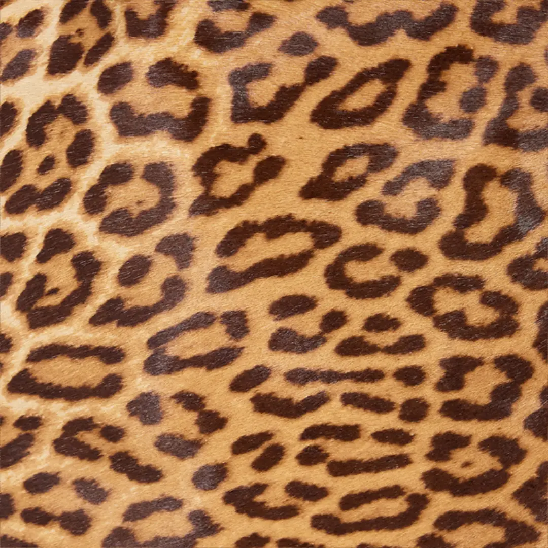 Roberto Cavalli Leather Miniskirt With Leopard Skin Print | Thumbnail 4