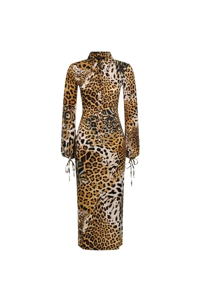 Leopard Print Midi Dress