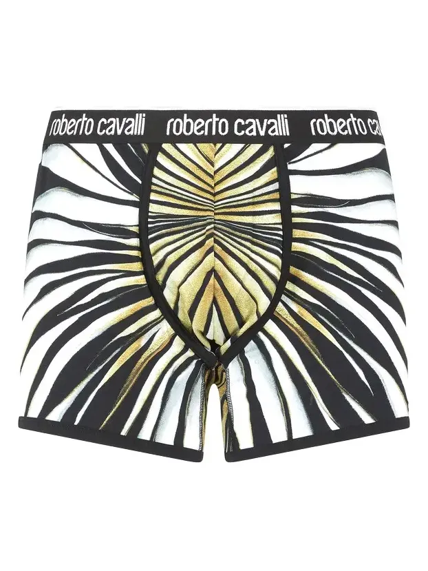 Boxers With Ray Of Gold Print