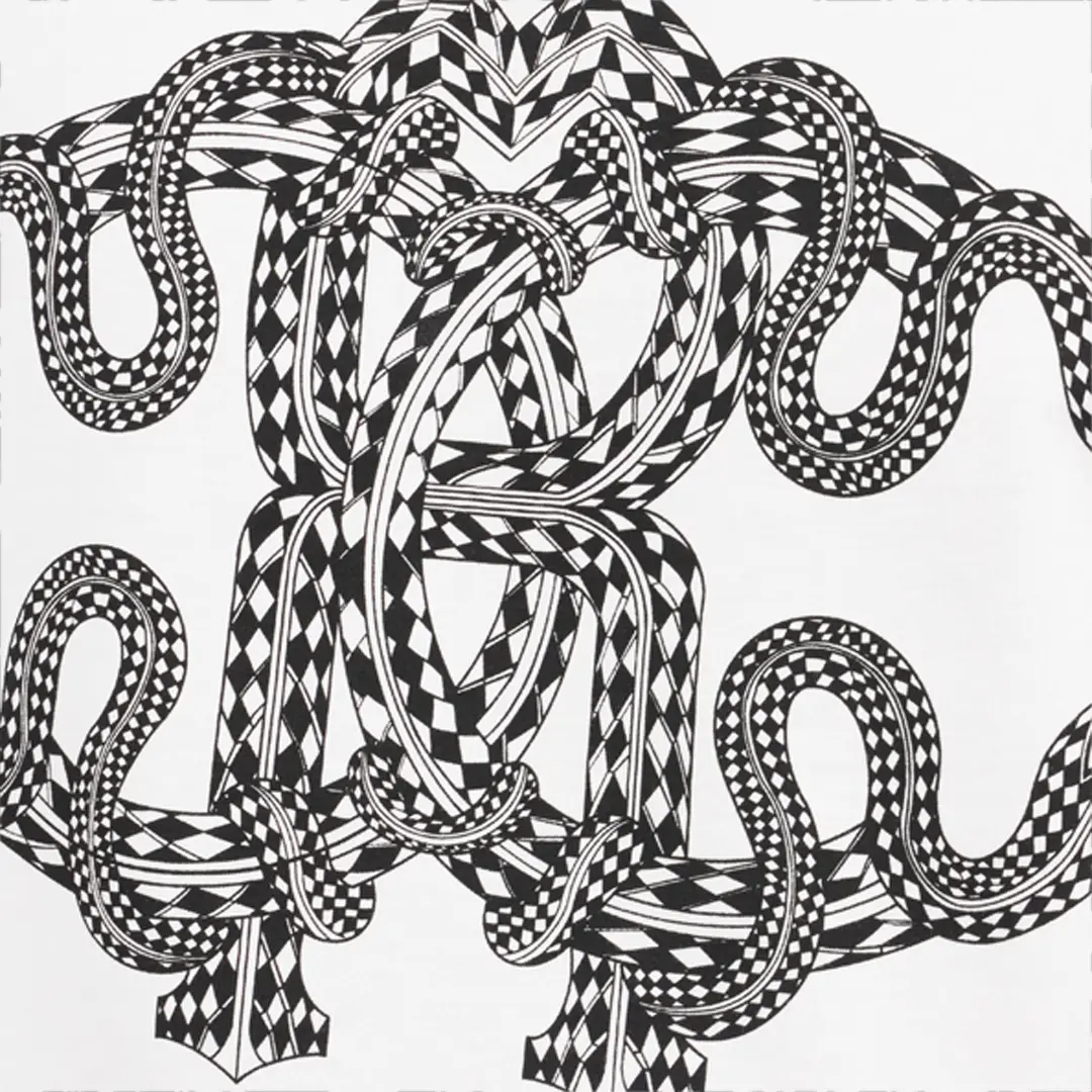 Roberto Cavalli Snake-Print Cotton T-shirt | Thumbnail 4