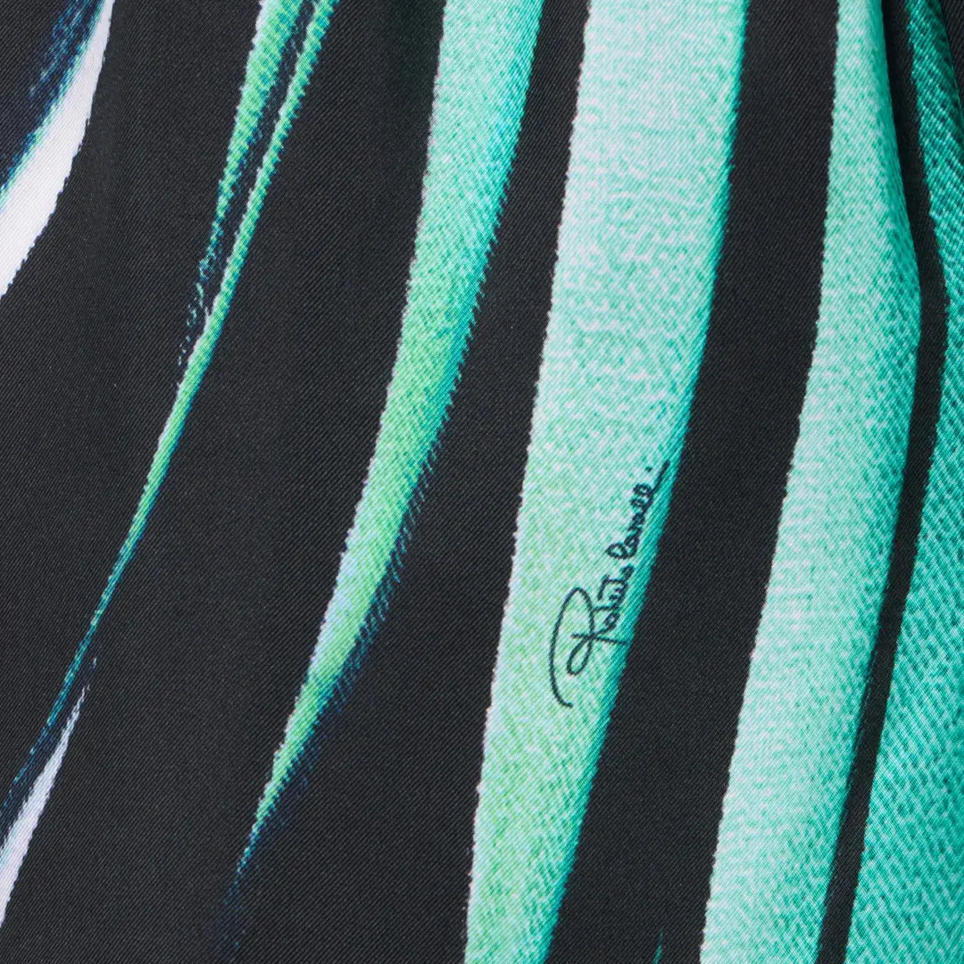Roberto Cavalli Ray of Sea Palazzo Pants | Thumbnail 4